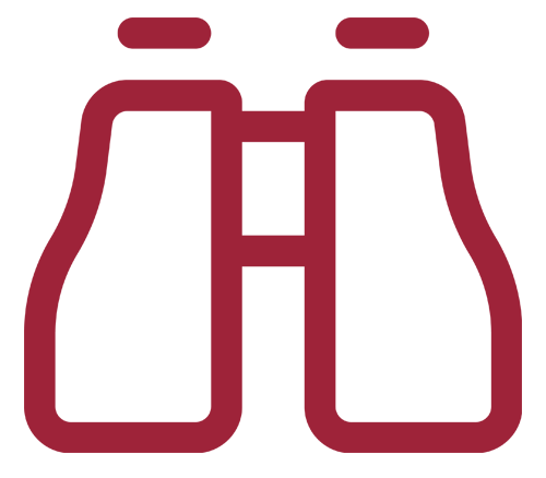 Binoculars icon