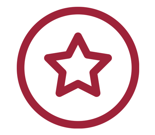 Circle star icon