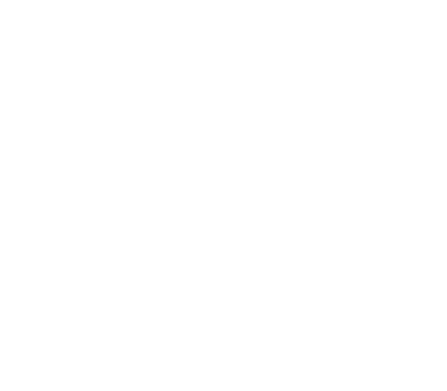 White Gear icon