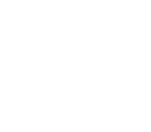 White Globe icon