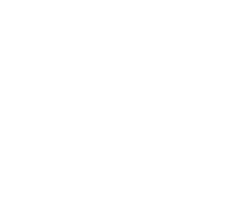 White Shield icon