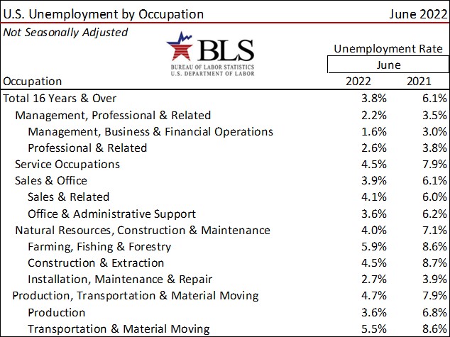 Better Than Expected June 2022 Job Growth for the US But the Clouds of Inflation and Shrinking Consu-image7