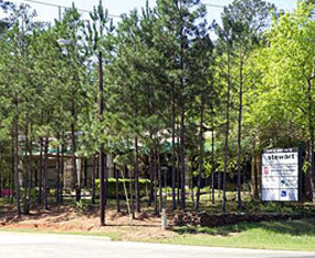 conroe