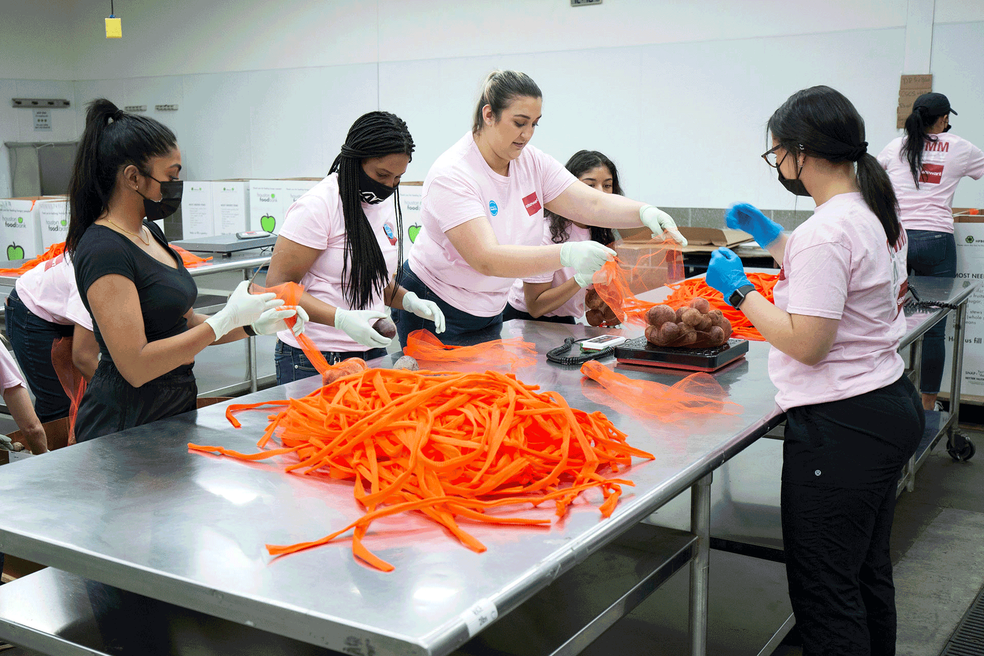 Careers Stewart Title