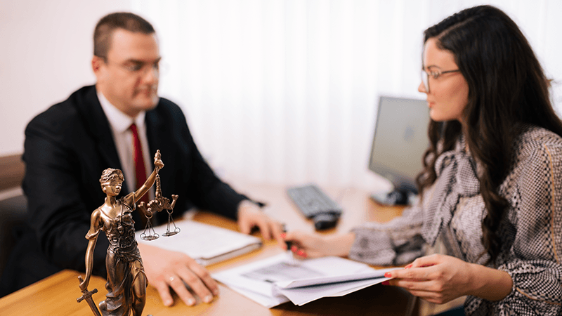 Image Young female client at lawyers office.