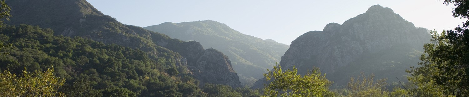 사진 1, 사진