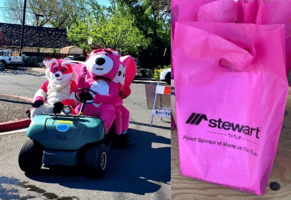 Các linh vật màu hồng trong một chiếc xe golf và một chiếc túi màu hồng có logo Stewart Title.